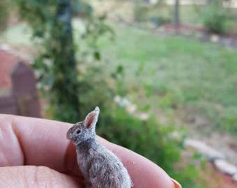 Miniature Dollhouse 1:12 rabbit/bunny by Woolytales Miniatures 100 dollars REDUCED