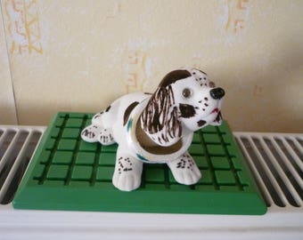 Cute little dog with head that moves