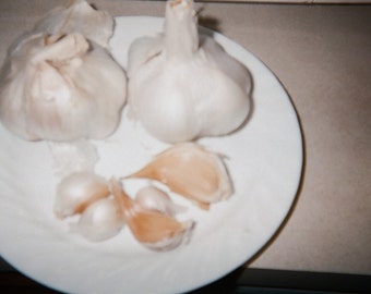 Home grown Elephant Garlic - 2 large cloves