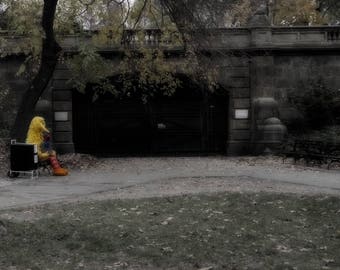 Alone in Central Park, New York, Photo Print