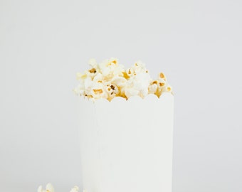 DIY Ready to Pop Plain White Popcorn Party Favor Box (SET OF 10)