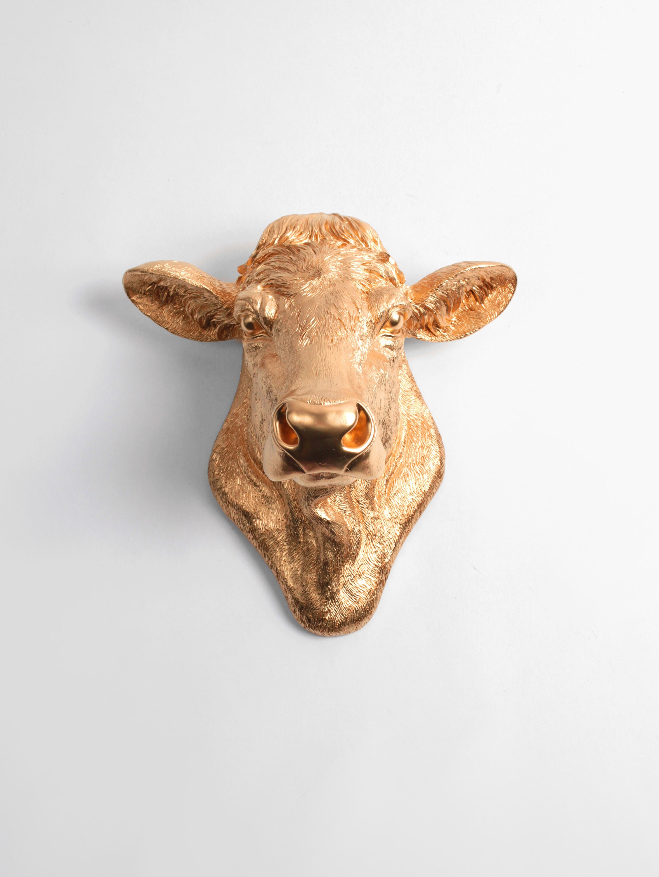 Cow Head Decor by White Faux Taxidermy The Bessie in Gold