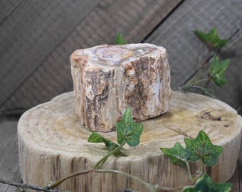 Large Petrified Wood Chunk