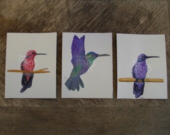 Original Watercolour Paintings - Humming birds