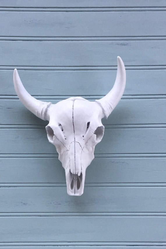 Faux Longhorn Skull Gallery Wall Decor Faux Taxidermy
