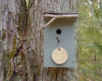 Outdoor Birdhouse, Wood handmade birdhouse, Bird lover gift, Father's day gift, Sage green