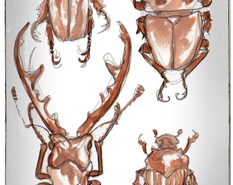 beetels, Greeting Card by Renae Taylor