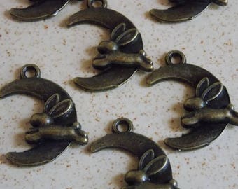 Bronze metal Moon rabbit charm