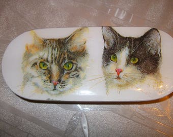 Case, sunglasses case