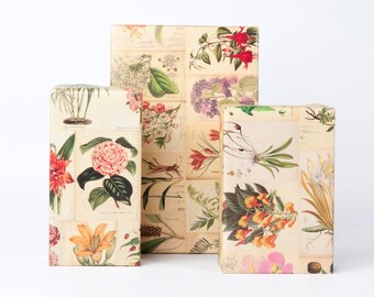 Botanical Wrapping Paper / 12 Sheets
