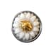 White Daisy Gold Lady Bug Snap Charm Fits 18-20mm Ginger Snaps, Noosa, Magnolia & Vine, Others