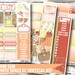 Autumn Sun Planner Stickers - No White Space Kit