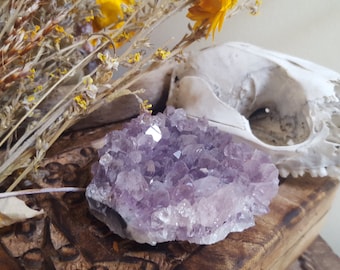 palm sized amethyst cluster