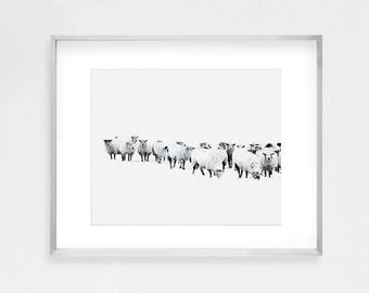 Sheep Print, Sheep Art, Sheep Watercolor, Sheep Painting, Nursery Wall Art, Sheep Gift, Printable Art, Large Wall Art, Sheep Poster
