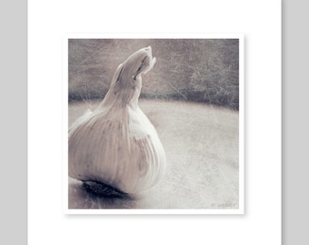 Garlic Still Life - 8x10 Fine Art Photograph