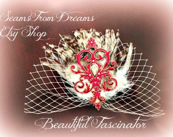 Beautiful Birdcage Fascinator headpiece