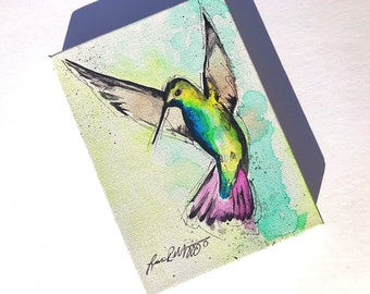 Green-Breasted Mango Hummingbird