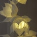 Weddings lights, Lights garland, Battery lights, Garland, Wedding lights, String lights, Flower lights, Fairy lights, Home lights