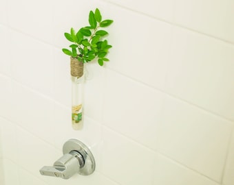 Glass vase- Glass test tube bud vase with suction cup to beautify your home, office, kitchen, bathroom any where you like.