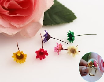 A small pack of dried flowers for Filler of the mini glass bottles MINI Star daisy preserved fresh flower real dried flowers