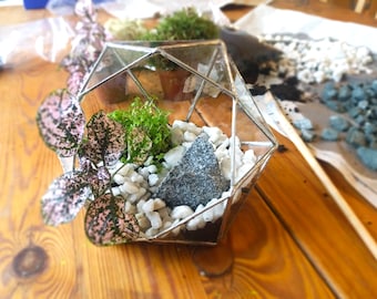 Glass Terrarium - Diamond Terrarium / Geometric Terrarium / Display Box / Candle Holder by Geodesium