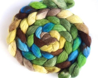 Window Pears, BFL Wool Roving - Hand Painted Spinning or Felting Fiber