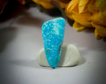 Mexican Turquoise Cabochon 40-4756