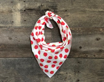 Strawberries Cute Fruit Tie On Dog Bandana
