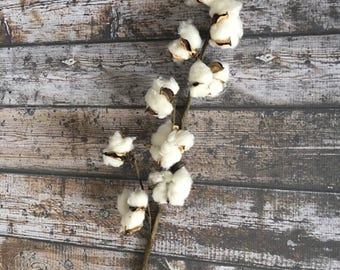 Cotton stem. 20" Cotton boll stem. Faux Cotton Stems Cotton Spray Rustic Wedding Fixer Upper Cotton. wedding Cotton 1 cotton stem
