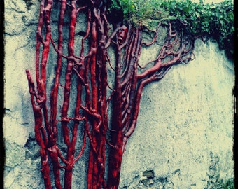 Sculpture lierre, ivy sculpture, sculpture bois, wood carving, sculpture murale, wall sculpture, sculpture roots, design vegetal, green