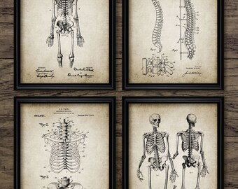 Human Skeleton Anatomy Print Set Of 4 - Anatomy - Medical Student - Doctor - Medical Education - Set Of Four Prints #2087 - INSTANT DOWNLOAD