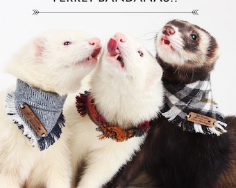 Ferret Bandanas