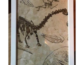 Framed dinosaur picture
