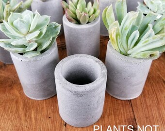 100 Concrete succulent planters, mini planter, succulent wedding favor, succulent party favor, concrete air plant holder, indoor planter