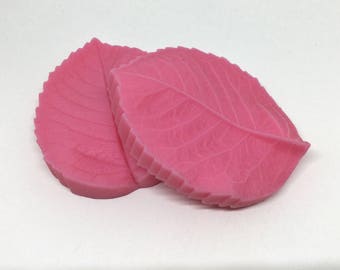 Leaf texture