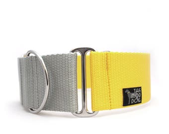 2" martingale collar The Cullen WIDE martingale dog collar