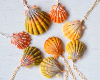 CUSTOM Sunrise Shell Necklace, Sunrise Shell, Shell Necklace, Hawaiian Christmas Gift, Island Girl, Beach Gift, Sunrise Shells
