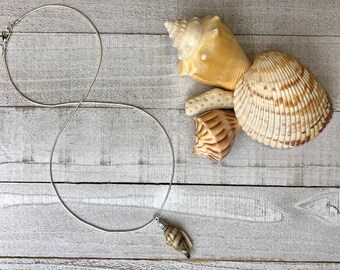 Small Sanibel Island Conch Shell Necklace