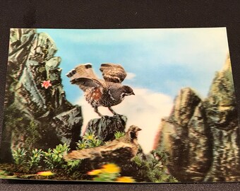 1960's lenticular bird on a rockL scene post card with nice vibrant colors