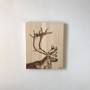 Bull Caribou Wood Burning Pyrography