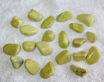 Destash Lots - Qty 21 - Serpentine Tumbles / Tumbled - Inventory Reduction