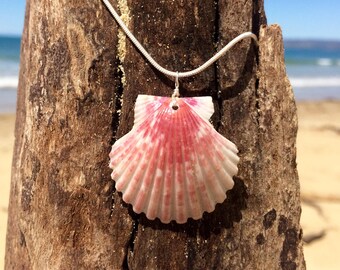 Scallop shell necklace