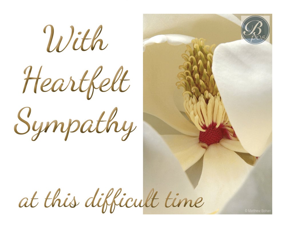 with-deepest-sympathy-condolence-messages-sympathy-card-messages