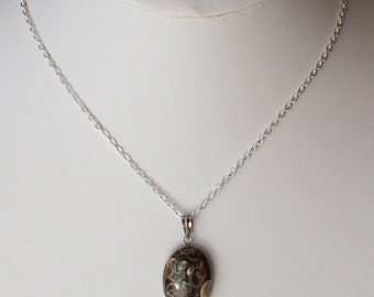 Turritella Fossil Pendant