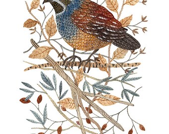 Quail Art Print, game birds, giclee art print, bird art, bird illustration, watercolor print