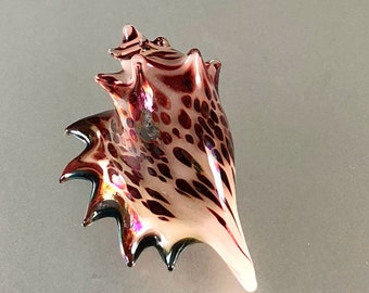 Lampwork Beads-Glass Boro-Conch-Cone Seashell-Pendant-Focal Bead-Ocean Sea Shell-Glass Sea shell-Lampwork Sea Shell-Handmade Glass