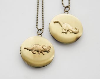 Dinosaur Locket, Dinosaur Necklace, Choose your locket, Dinosaur Locket Necklace, Triceratops necklace, Apatosaurus Locket
