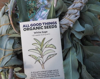 White Sage (Salvia apiana) Seeds (~50): Certified Organic, Non-GMO, Heirloom, Open Pollinated Seed Packet