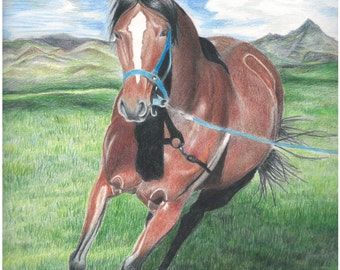 Colored Pencil Art Print From Original Drawing "Red"