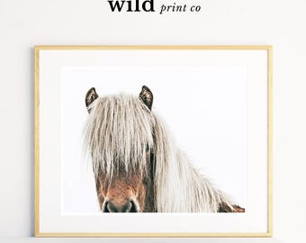 Horse Print, Equestrian Decor, Horse Photography, Icelandic Horse, Large Wall Art, Wall Decor, Girls Room Decor, Horse Art